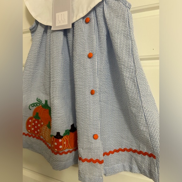 Lil’ Cactus Light Blue Seersucker Pumpkin Yoke Dress NWT.  18-24 months - Picture 2 of 6